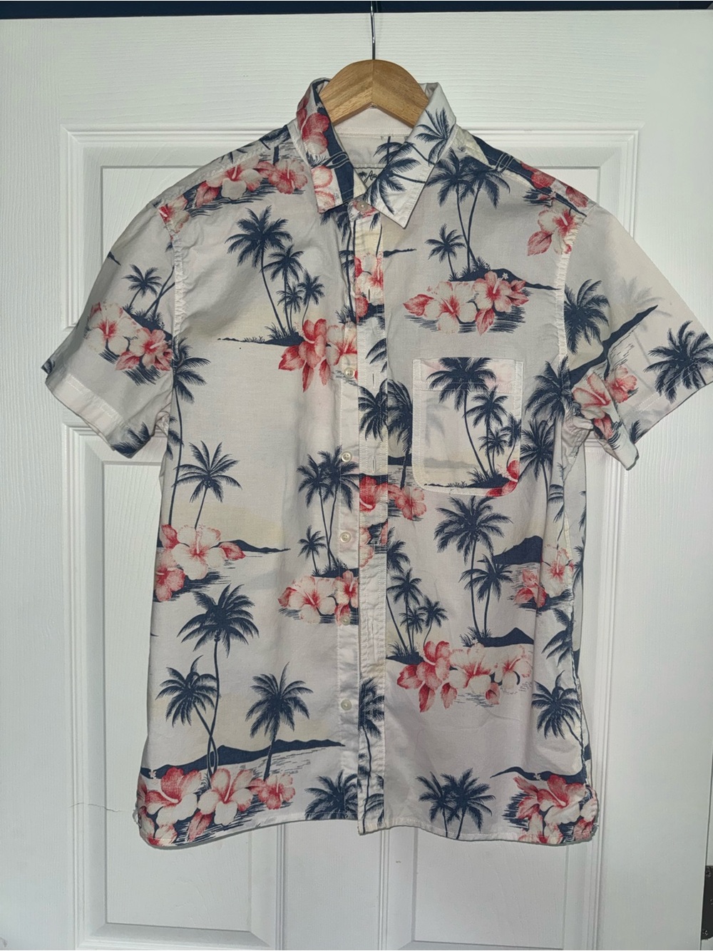 American Eagle Outfitters White Short-Sleeve Floral Palm Button-Up